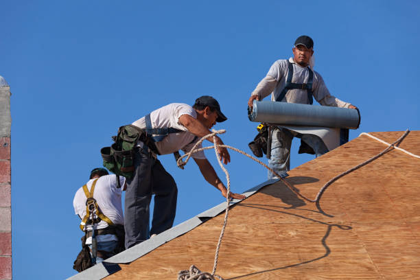 Best Emergency Roof Repair  in Coal Valley, IL